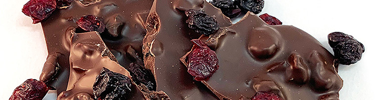 Chocolate Bark with dried fruit